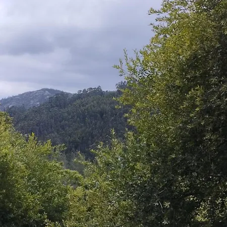 & Parrillada Miguel *