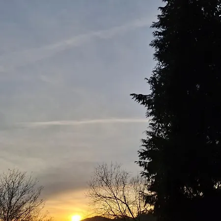 & Parrillada Miguel Lousame