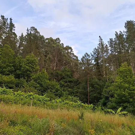 & Parrillada Miguel * Lousame