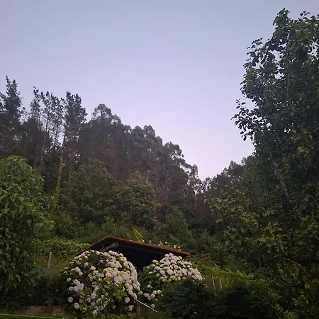 & Parrillada Miguel * Lousame