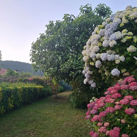 & Parrillada Miguel Lousame