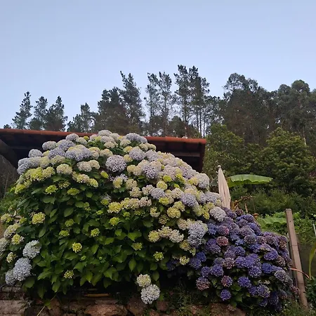 Casa Rural&parrillada Miguel