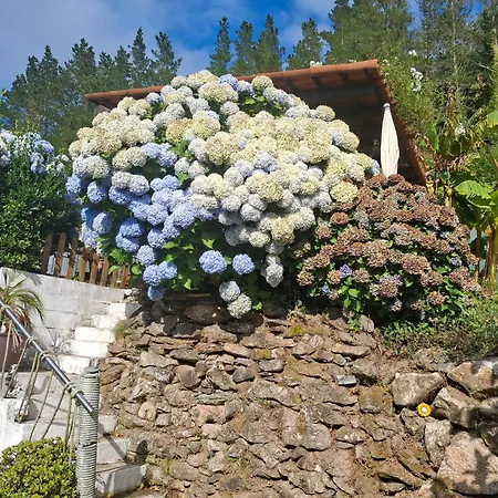 Casa Rural&parrillada Miguel *