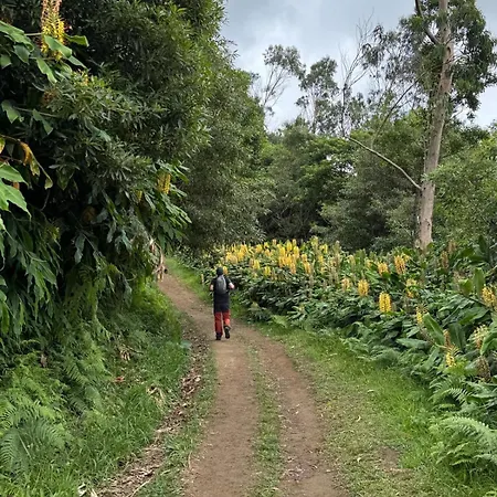 Privat bolig & Parrillada Miguel *