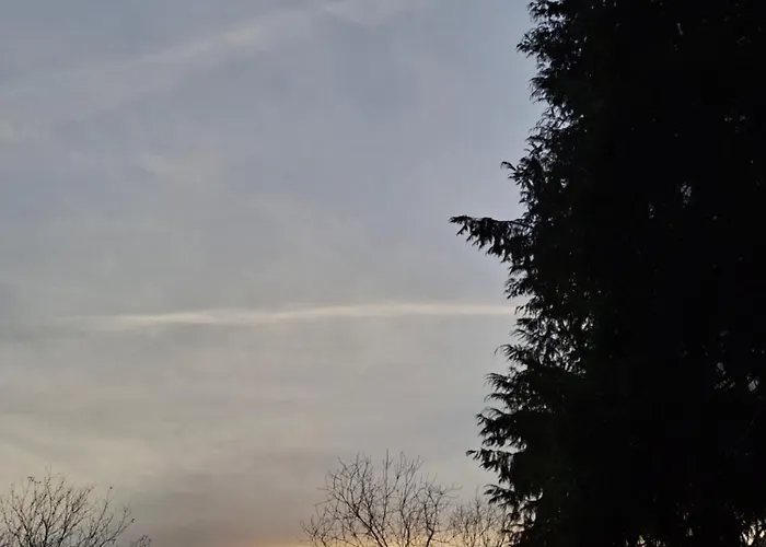 & Parrillada Miguel Lousame