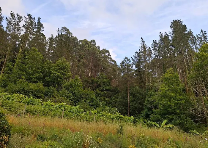 & Parrillada Miguel * Lousame