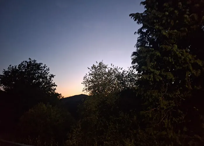 & Parrillada Miguel Lousame