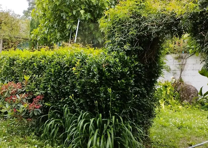 בית אירוח & Parrillada Miguel Lousame