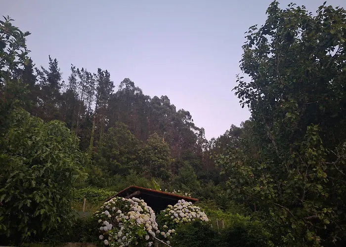 & Parrillada Miguel * Lousame