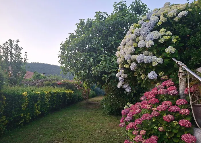 & Parrillada Miguel Lousame